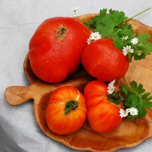 Tomato Pineapple