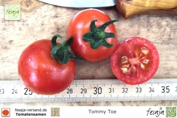 Tommy Toe · Tomaten · Samen