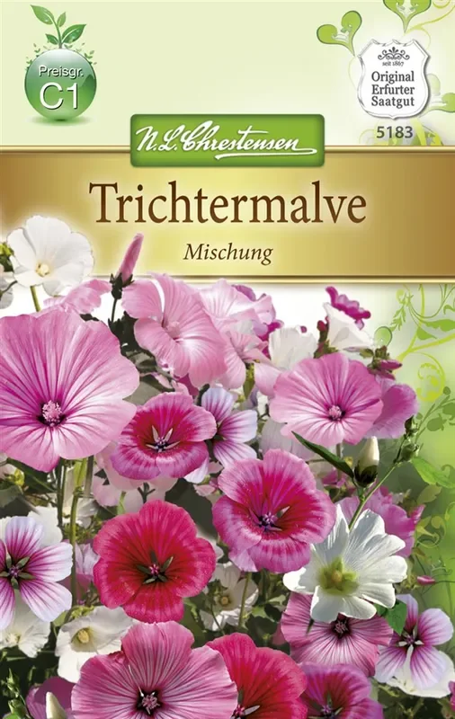 Trichtermalvensamen