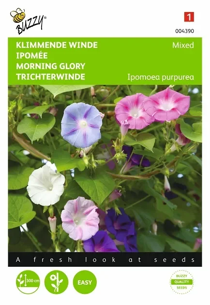 Trichterwinde Samen ‚Mix‘