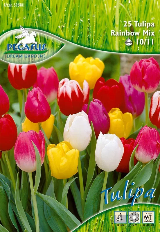 Triumph-Tulpen Regenbogen Mix (25 Stück)