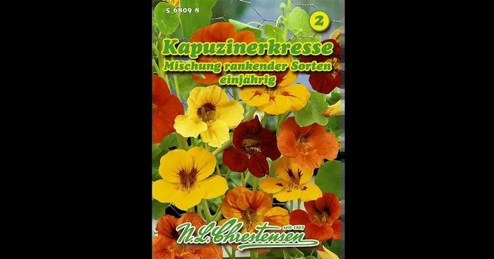 Tropaeolum rank.Mischung