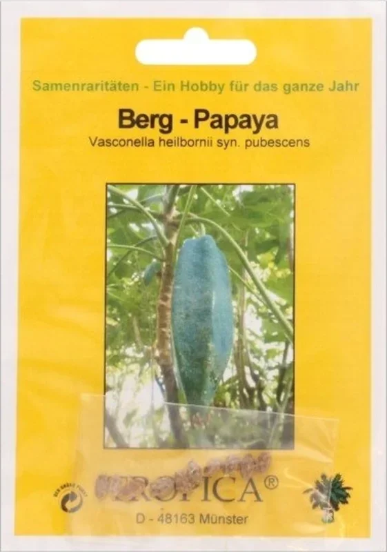 TROPICA Berg-Papaya, 10 Korn