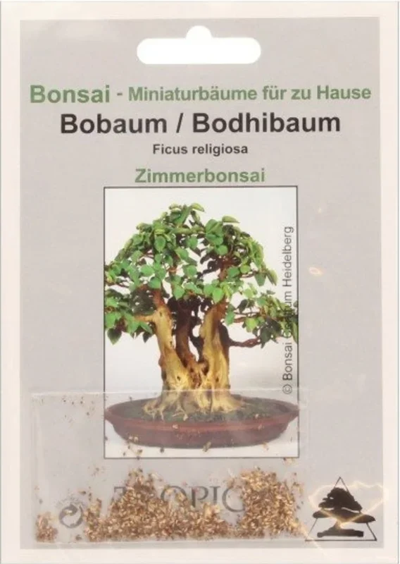 TROPICA Bobaum, 200 Korn