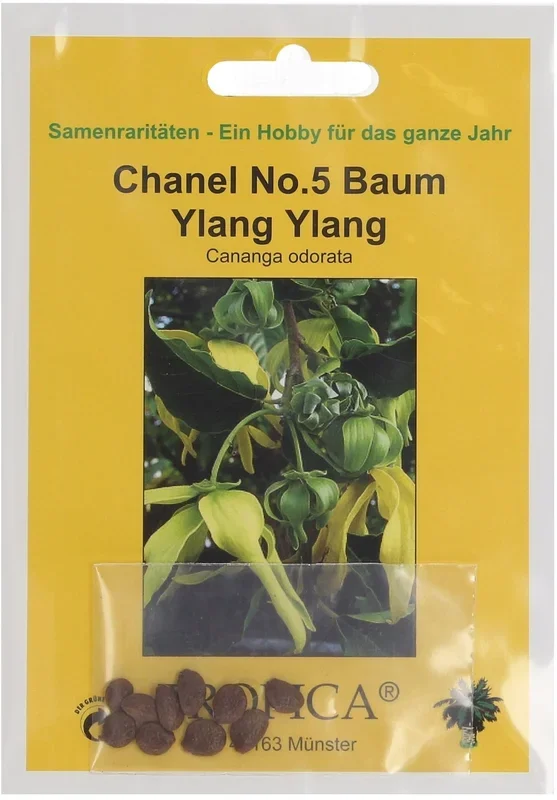 TROPICA Chanel No. 5 Baum