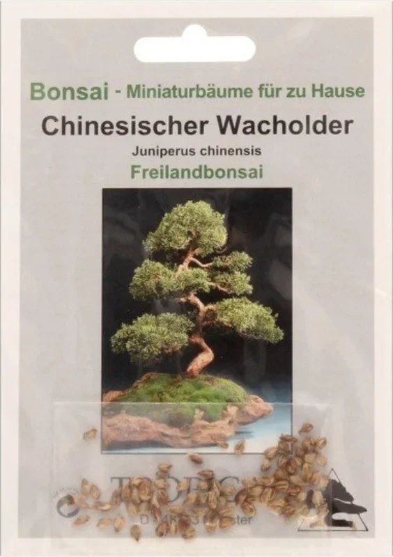 TROPICA Chinesischer Wacholder, 30 Korn