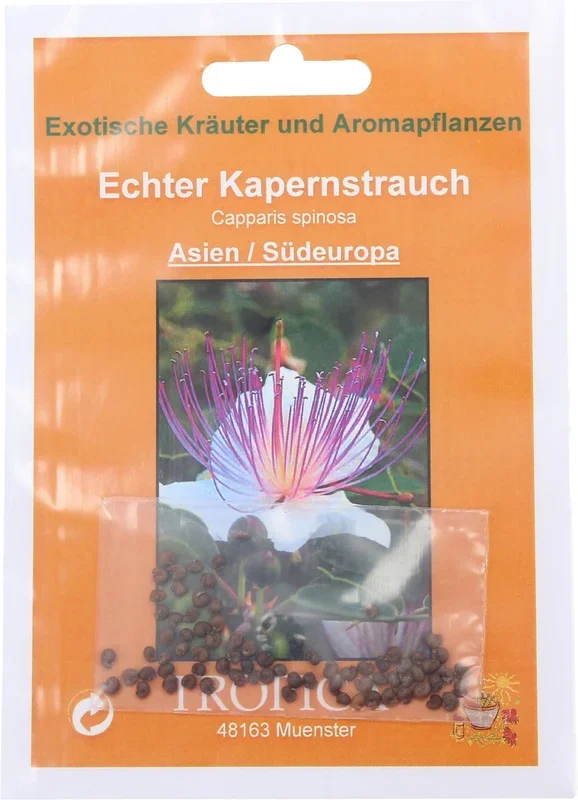 TROPICA Echter Kapernstrauch