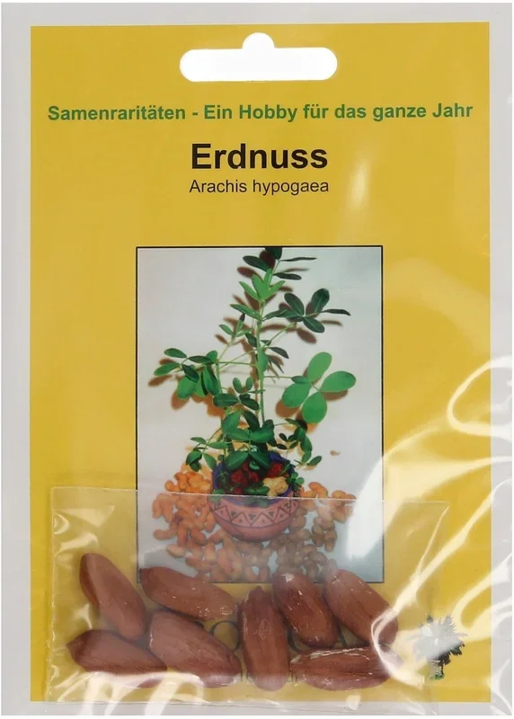 TROPICA Erdnuss, 8 Korn