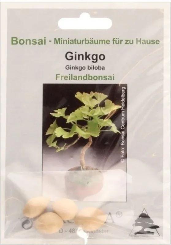 TROPICA Ginkgo, 4 Korn