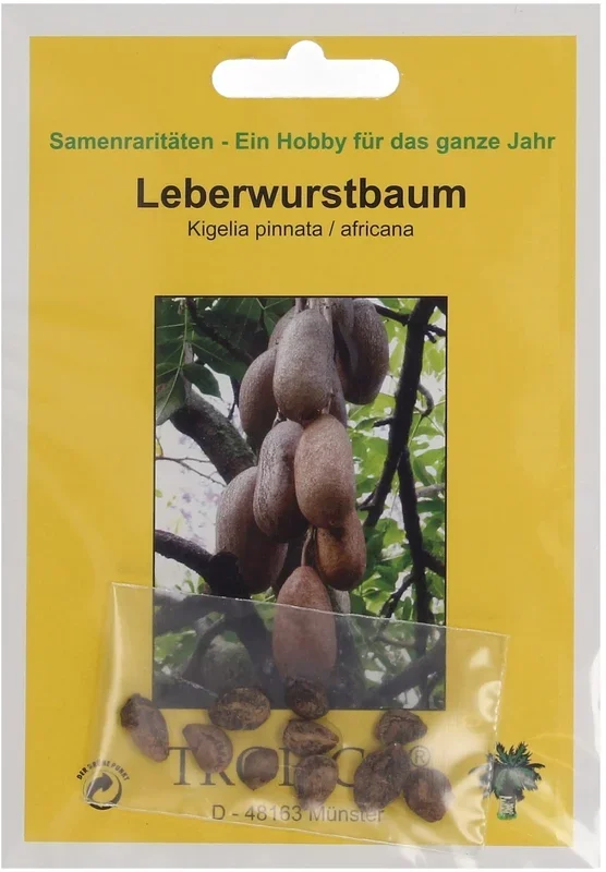 TROPICA Leberwurstbaum, 10 Korn