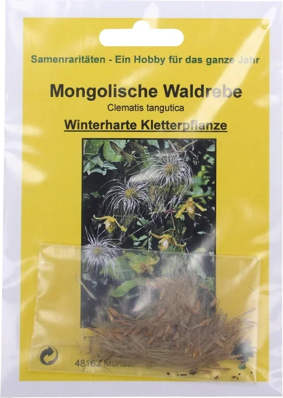 TROPICA Mongolische Waldrebe, 20 Korn