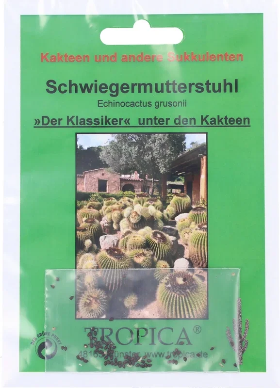 TROPICA Schwiegermutterstuhl
