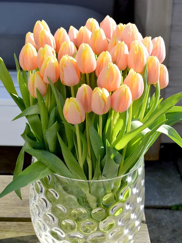 Tulpe Mango Charm®