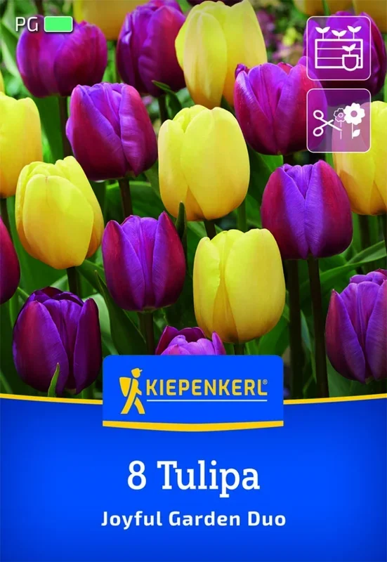 Tulpen Mix Joyful Garden, 8 Stück, Herbstblumenzwiebeln Kiepenkerl