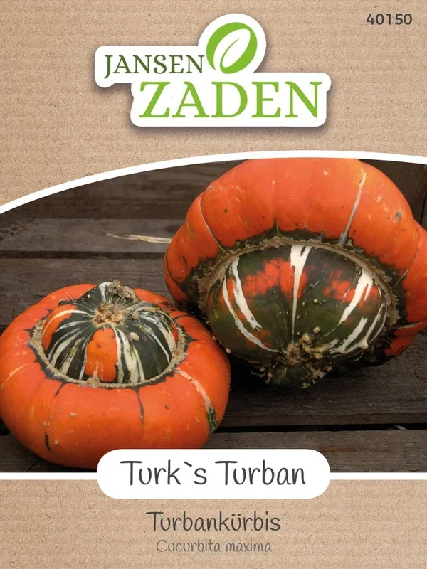 Turbankürbis Turk`s Turban