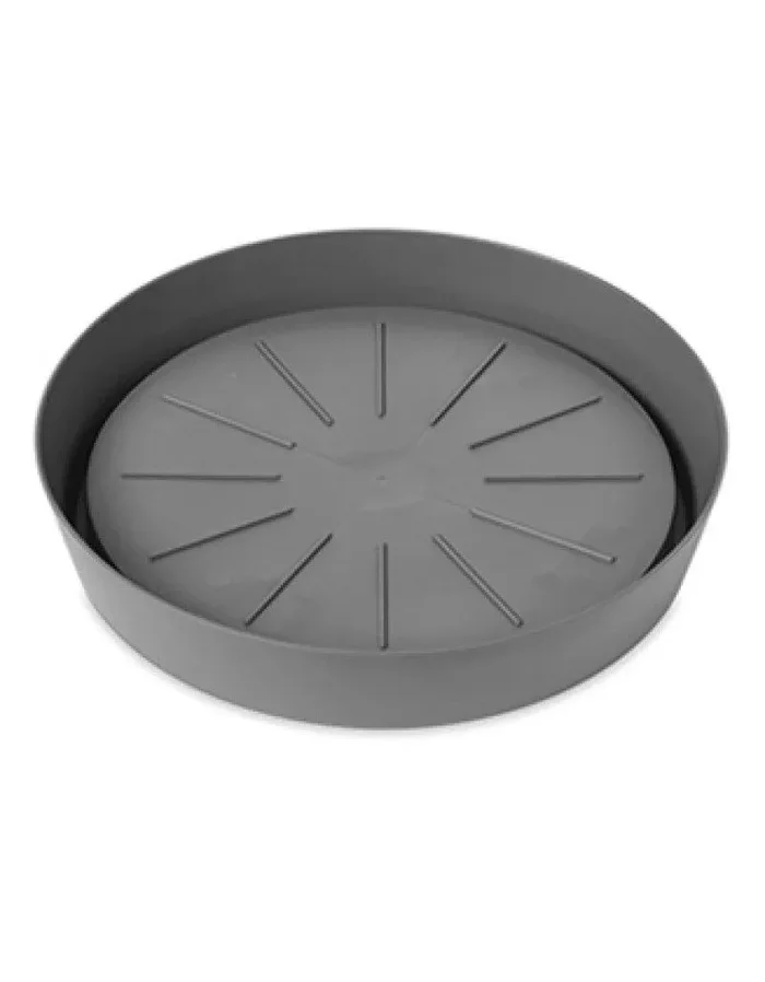 Untertasse SPEEDY