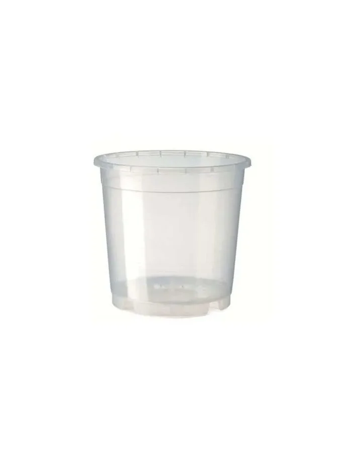 Vase für Orchideen 13 cm Transparent