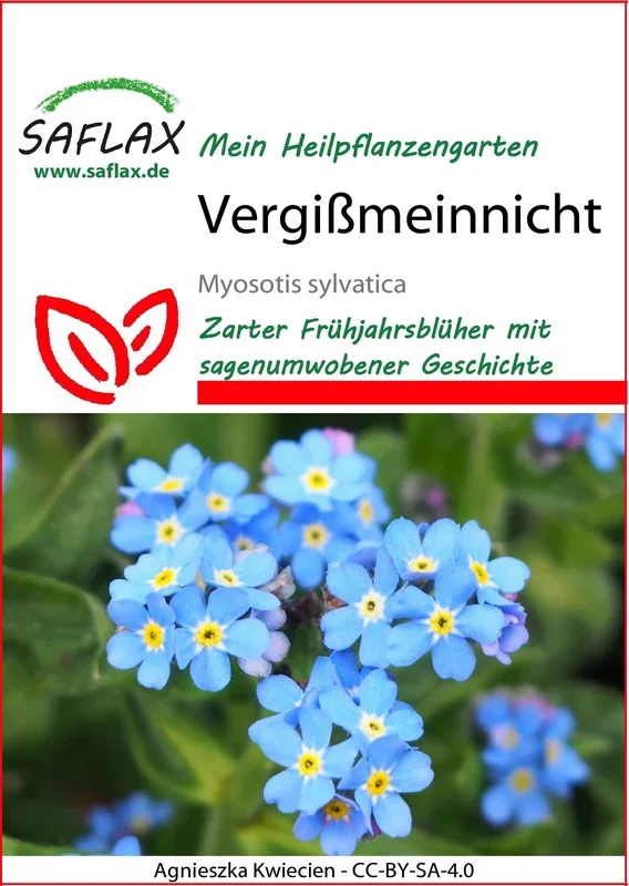 Vergißmeinnicht