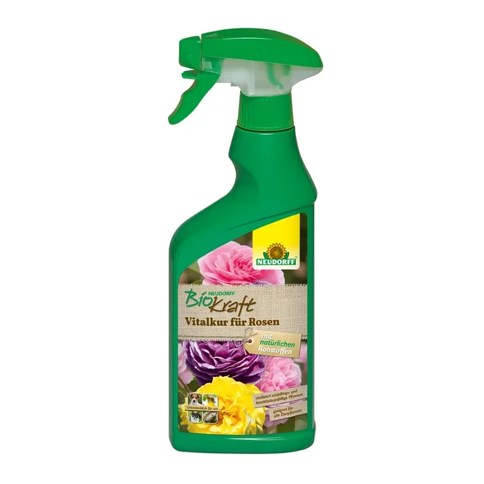 Vitalkur für Rosen