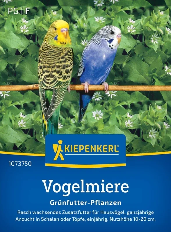 Vogelmiere, Rasch wachsendes Zusatzfutter für Hausvögel – ganzjährige Anzucht in Schalen oder Töpfe