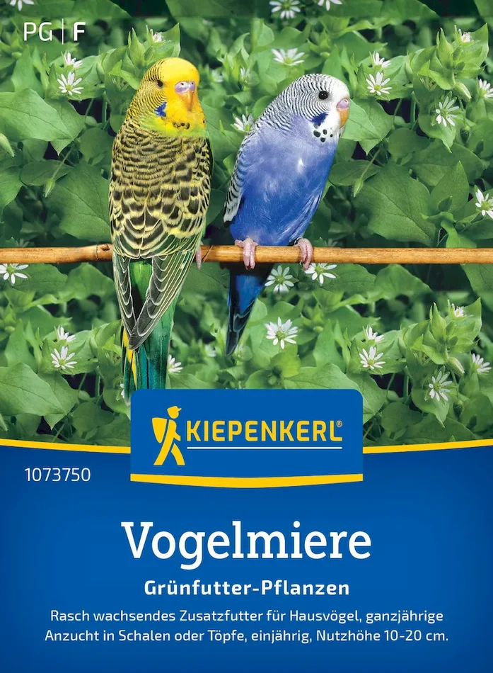 Vogelmieresamen Frischgrün-Futter