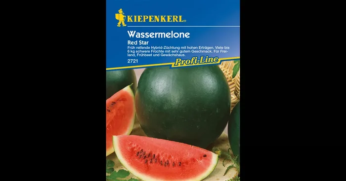 Wassermelone ‚Red Star‘