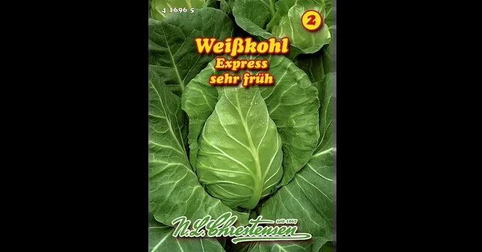 Weißkohl Express