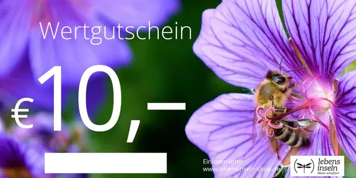 Wertgutschein 10€