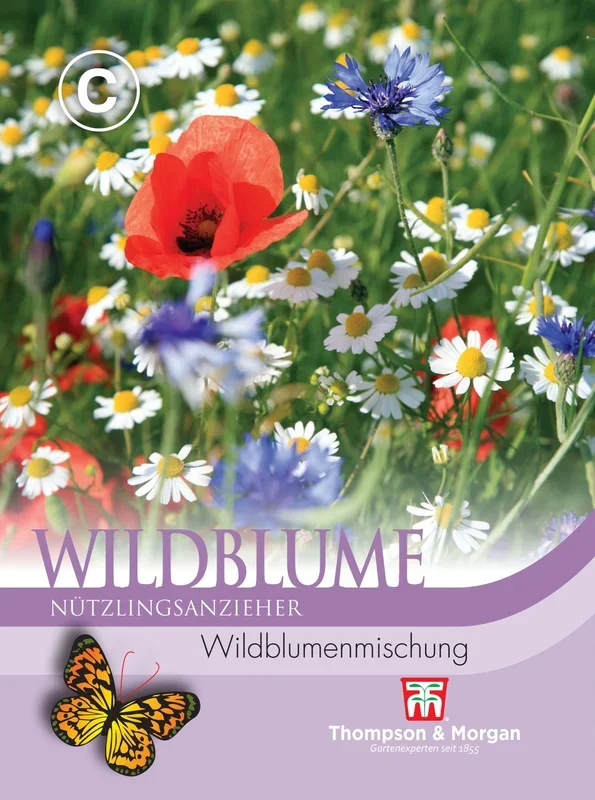 Wildblume Blumenmischung