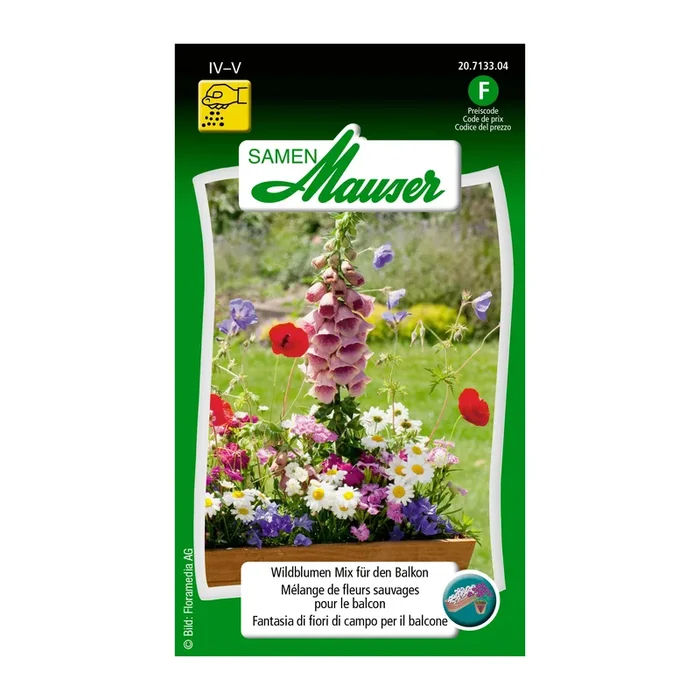 Wildblumen Mix für den Balkon