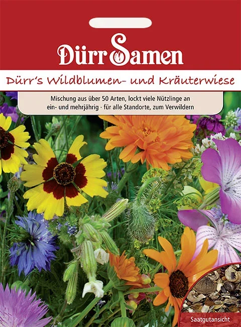Wildblumen- und Kräuterwiese 350 – 400m²