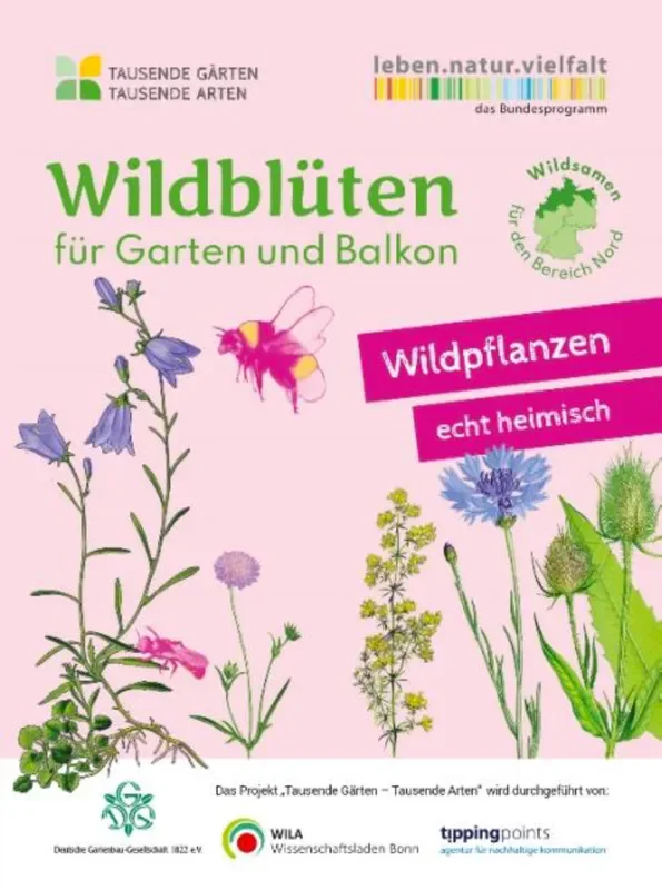 Wildblüten für Garten und Balkon (2m²)