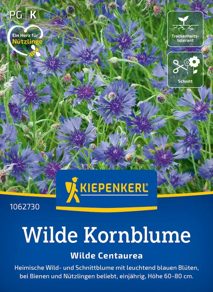 Wilde Kornblumensamen Blaue Zyane