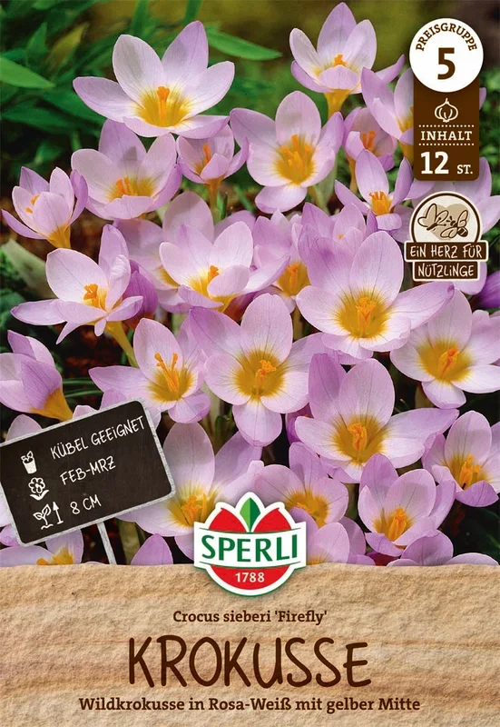 Wildkrokus Firefly (12 Stück)