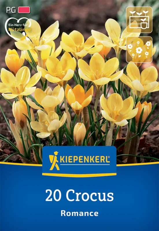 Wildkrokus Romance (20 Stück)