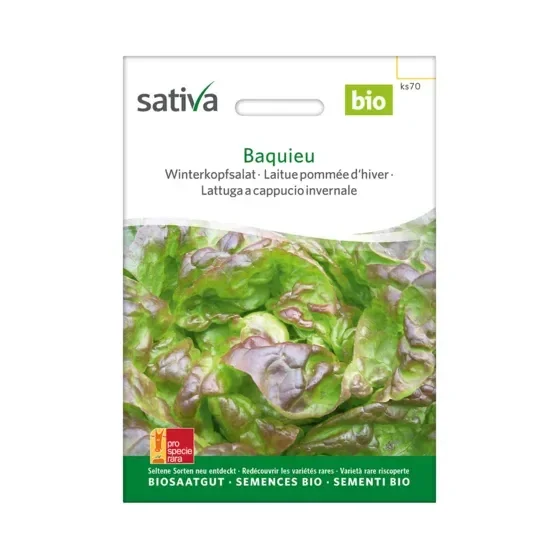 Winterkopfsalat ks70 BAQUIEU Biosamen