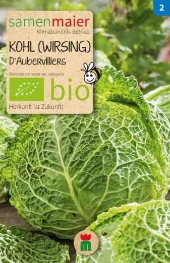 WirsingkohlD’Aubervilliers