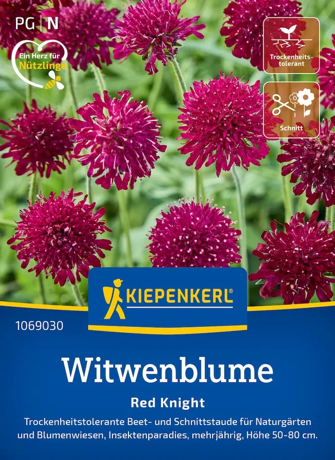 Witwenblumensamen Red Knight
