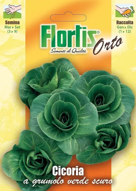 Zichorie A Grumolo Verde Scuro