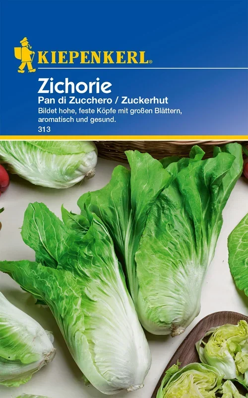 Zichorie Zuckerhut [MHD 01/2024]