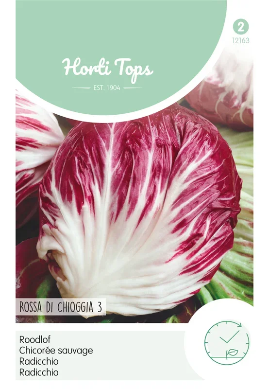 Zichoriensalat Radicchio Palla Rossa