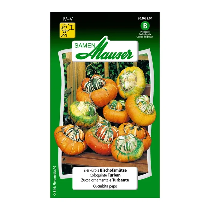 Zierkürbis ‚Bischofsmütze‘
