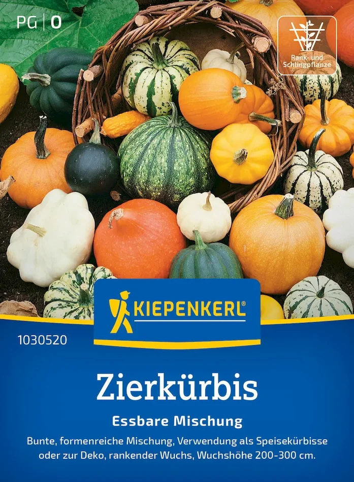 Zierkürbissamen Essbare Mischung