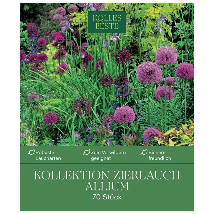 Zierlauch-Kollektion 70 Alliumzwiebeln