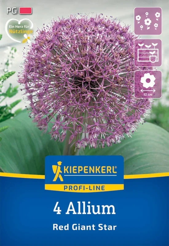 Zierlauch Red Giant Star (4 Stück)