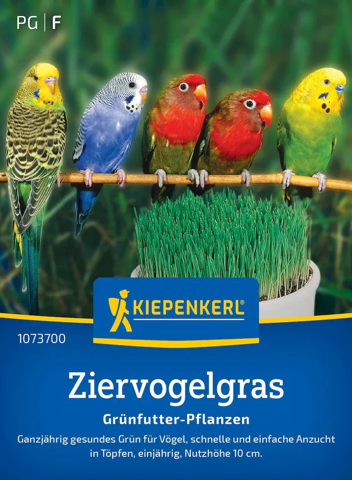 Ziervogelgrassamen Frischgrün Mischung