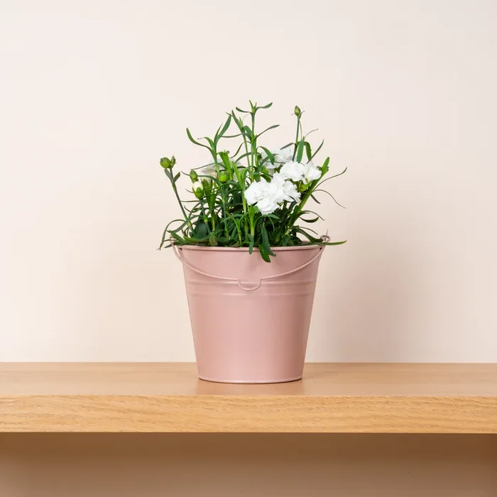 Zink Eimer Braun – 15 cm
