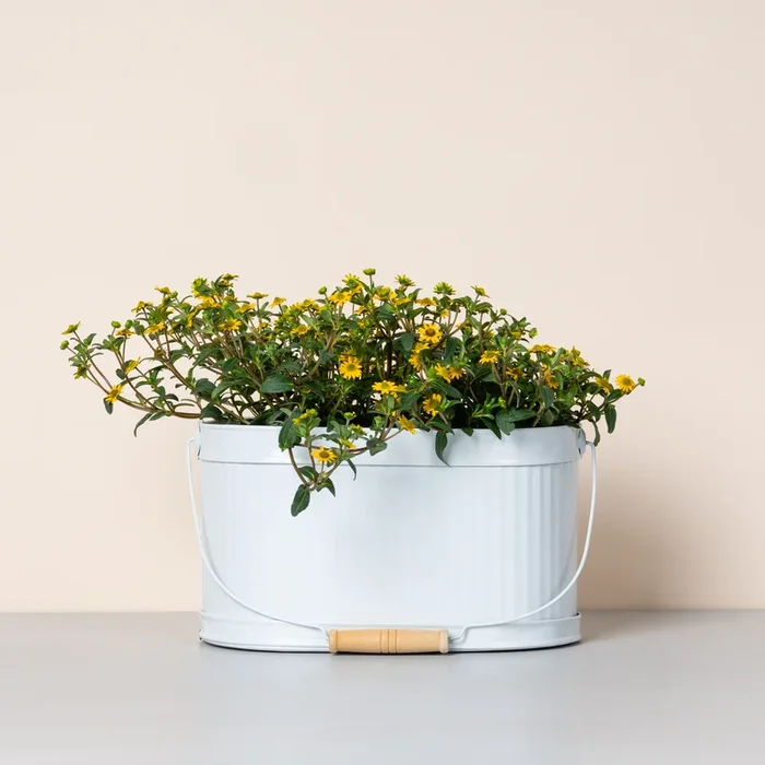 Zinkwanne Oval Weiß Matt – 26 cm