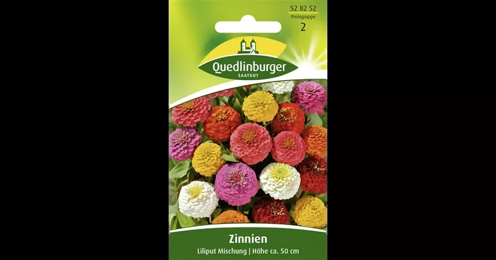 Zinniensamen ‚Liliput‘