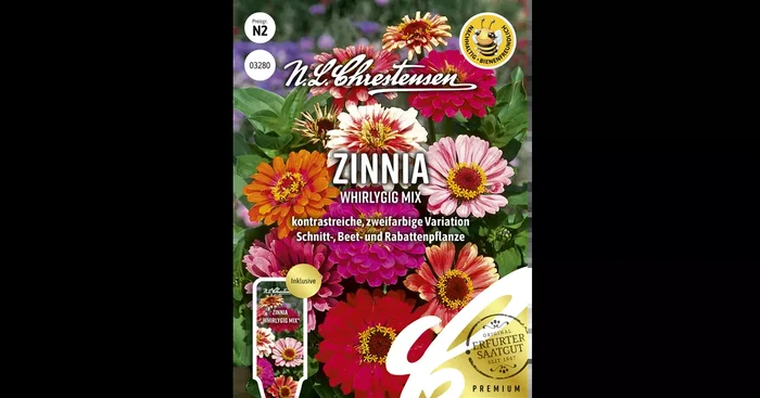 Zinniensamen ‚Whirlygig‘